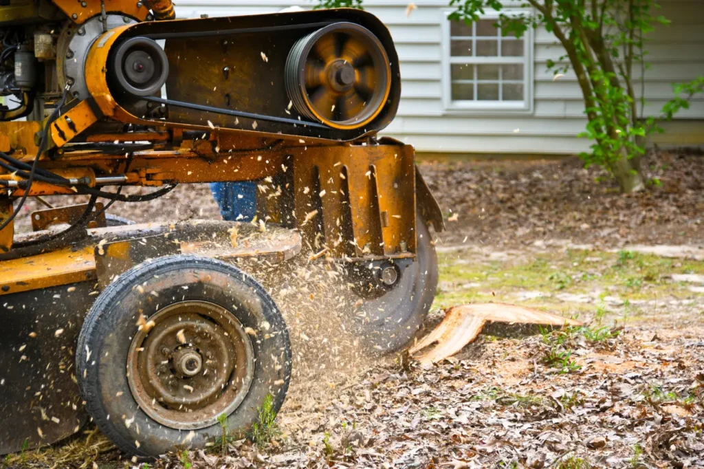 Stump Grinding Auckland team performing stump grinding auckland in a suburban garden setting.