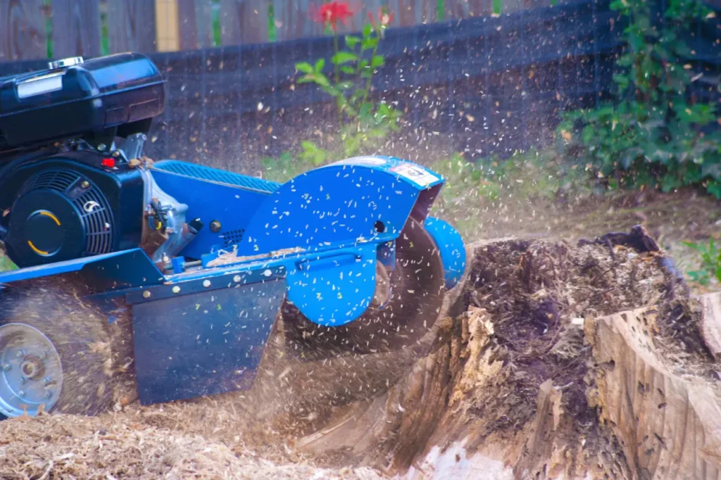 Stump Grinding Auckland professionals operating a stump grinder for expert stump grinding auckland.