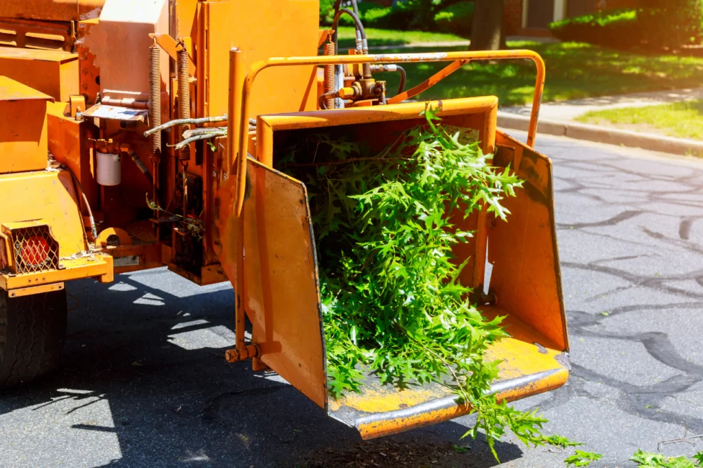 Stump Grinding Auckland chipping machine processing branches during a tree removal & chipping operation.