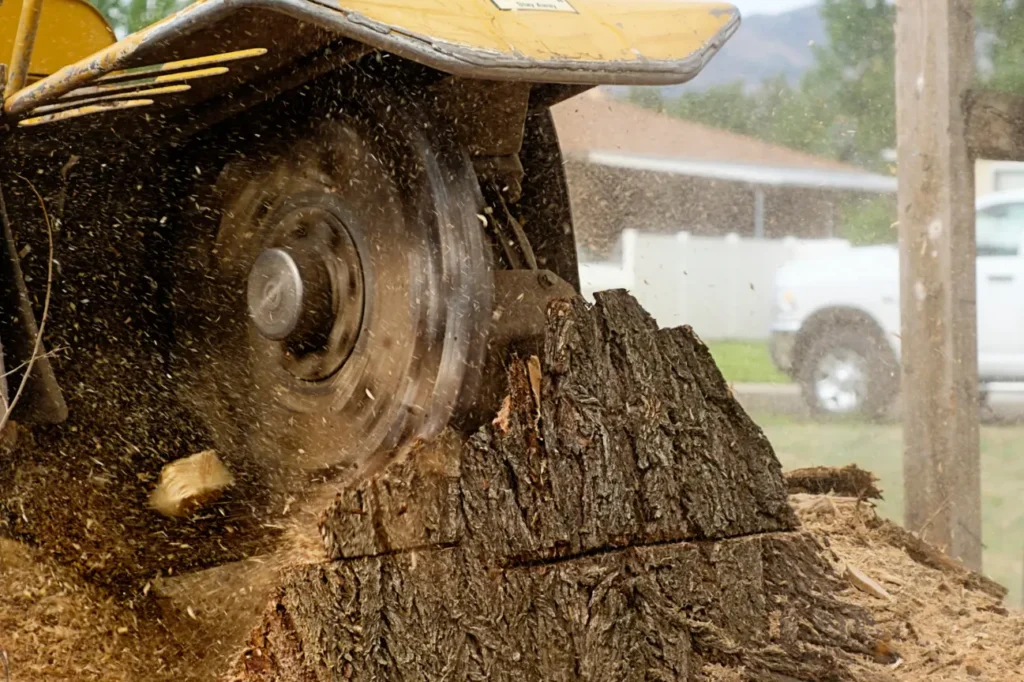 Trusted stump grinding auckland work by Stump Grinding Auckland for properties in North Shore.