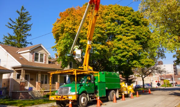 Stump Grinding Auckland truck and crew delivering cost effective tree removal & chipping outside residential property.
