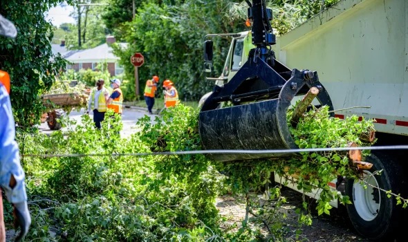 Stump Grinding Auckland team using machinery to access and clear hard to reach storm fallen tree removal areas.