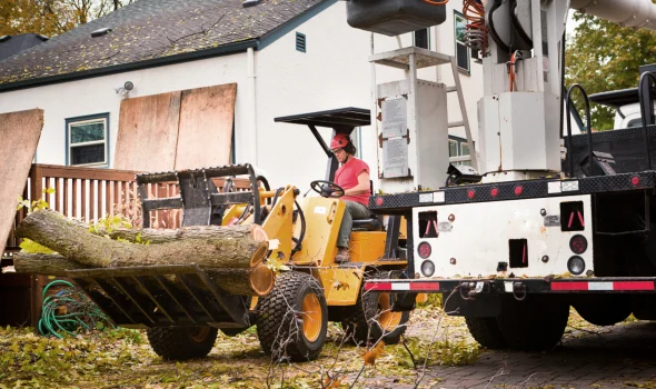 Stump Grinding Auckland providing free no obligation quotes for tree removal & chipping with professional equipment.