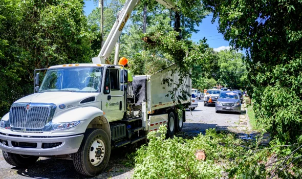Heavy-duty truck clearing storm debris as part of Stump Grinding Auckland’s storm fallen tree removal services.